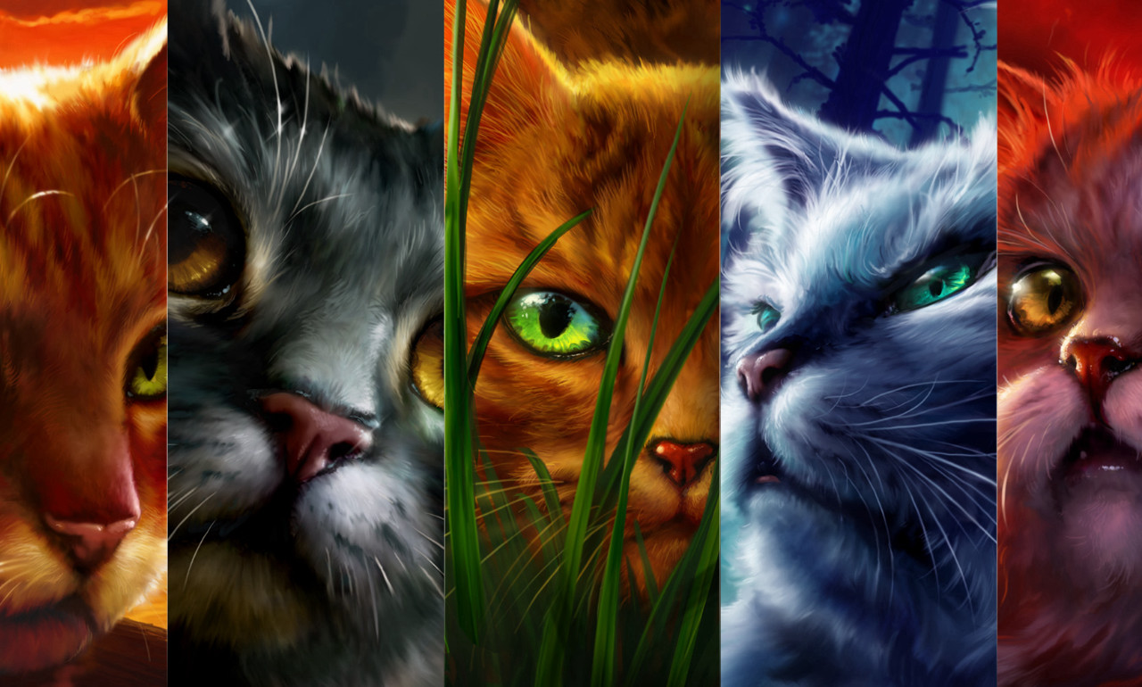 What Are Warrior Cats About