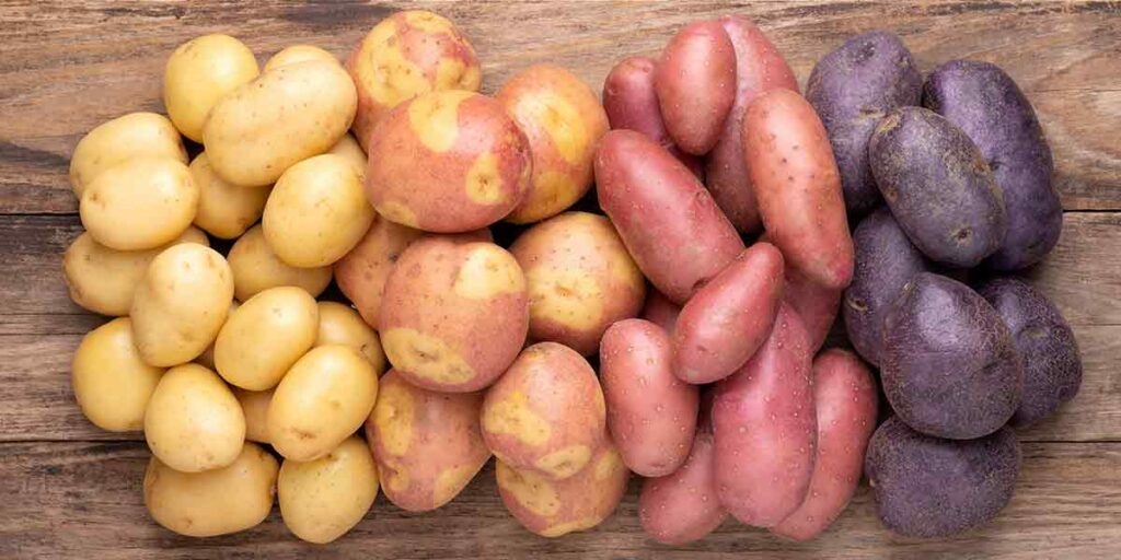 which potato are you