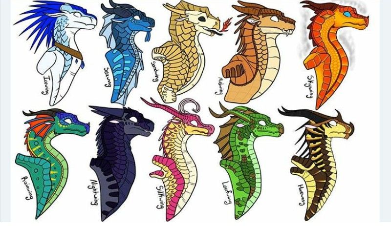 which wings of fire tribe are you