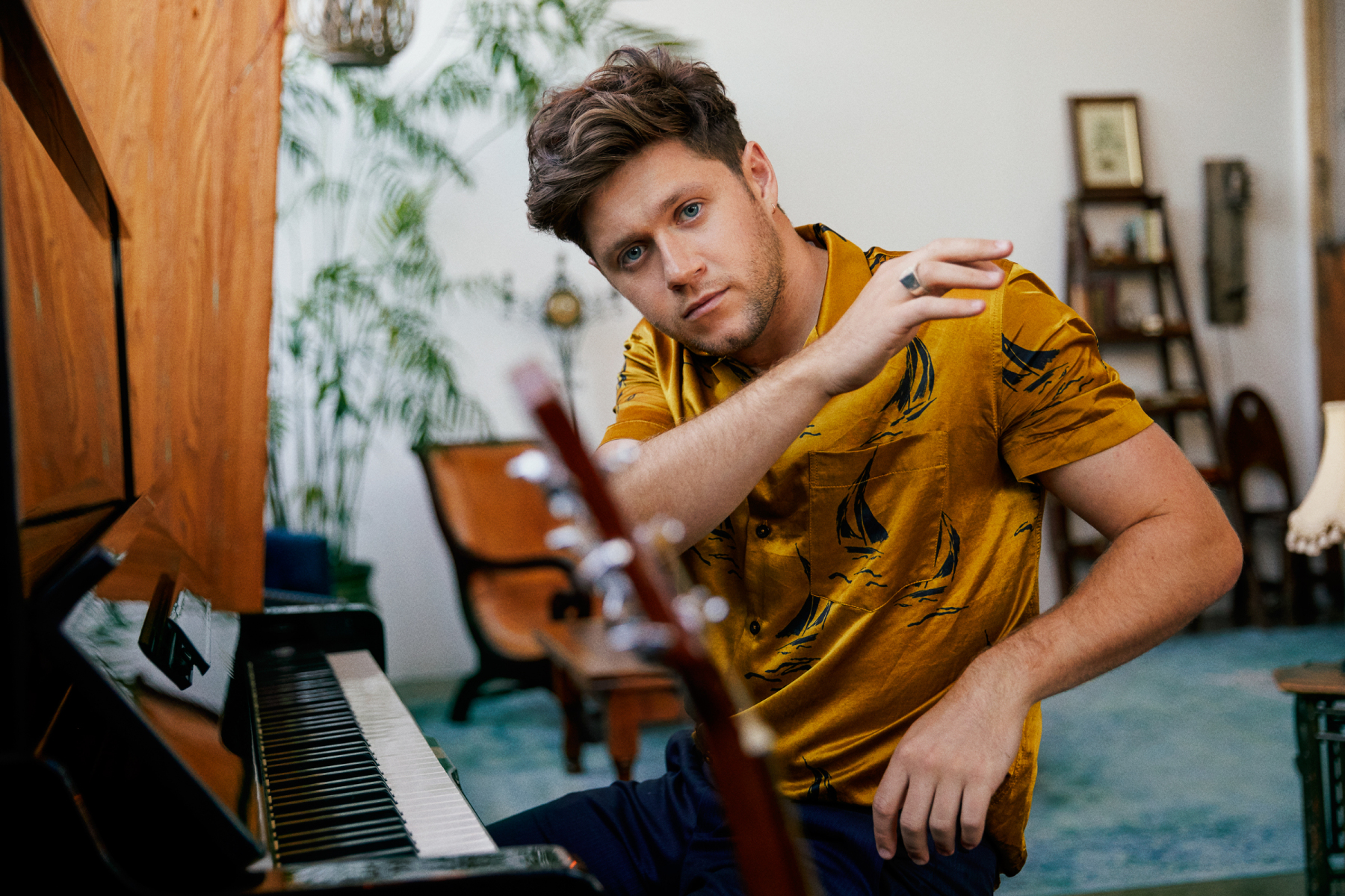 niall horan quiz