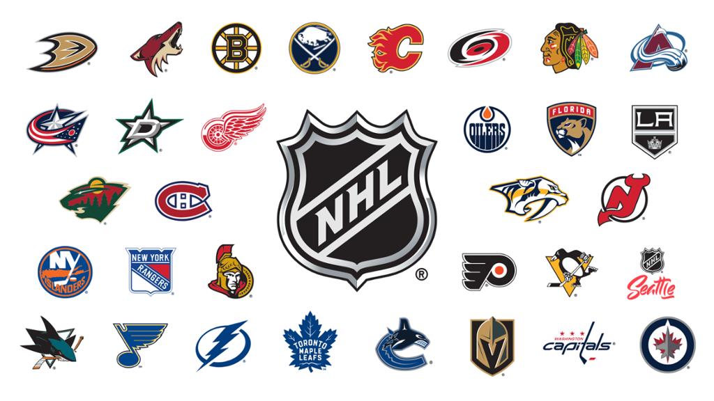 Jo 🏒 on X: I present to you: my sister (who has no clue about hockey)  trying to name the nhl teams  / X