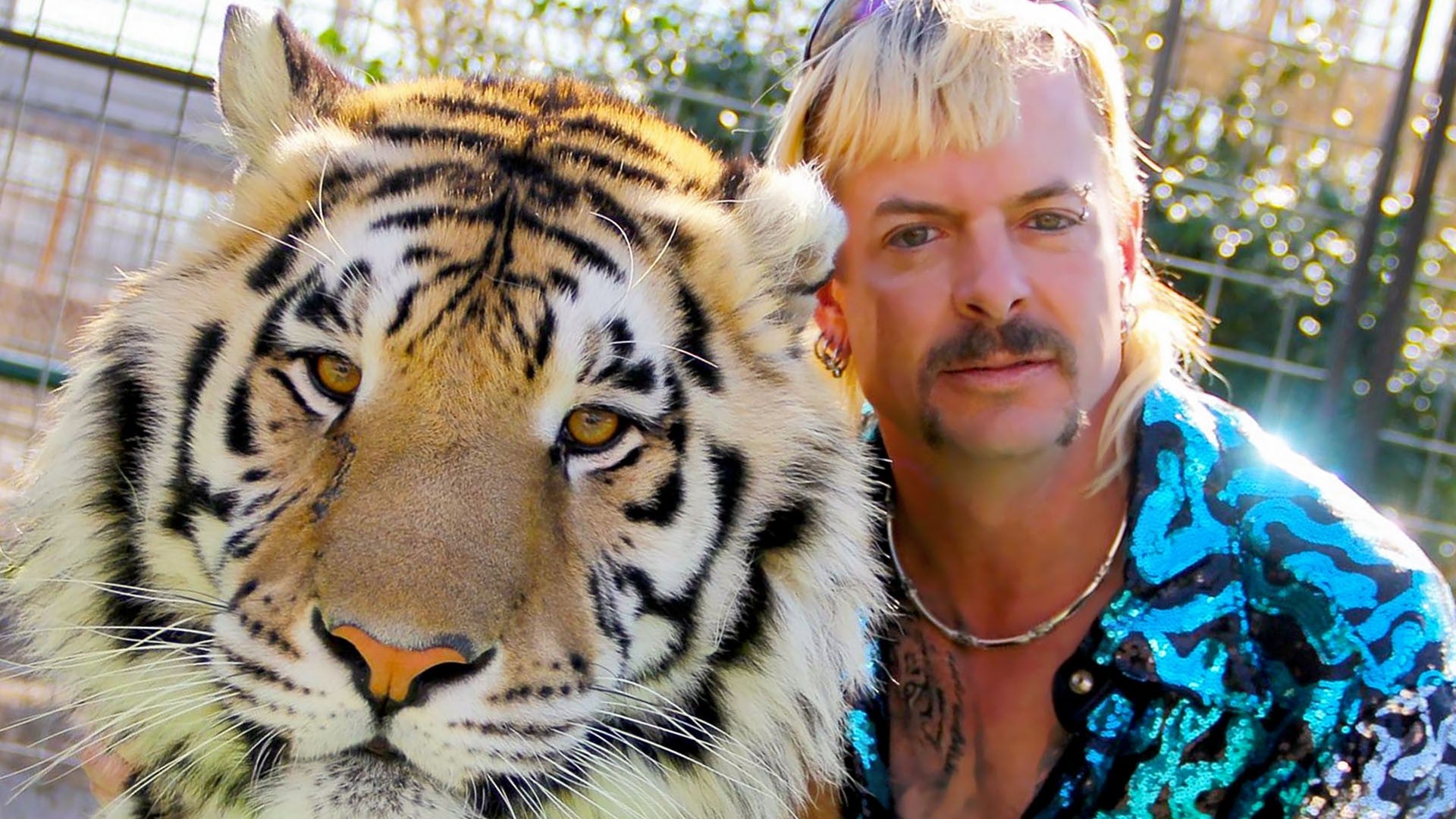 which tiger king character are you