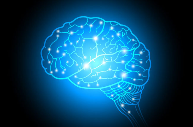 brain parts and functions quiz