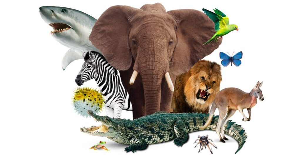 how well do you know animals quiz