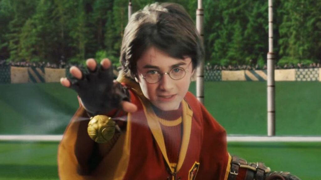 what quidditch position are you quiz