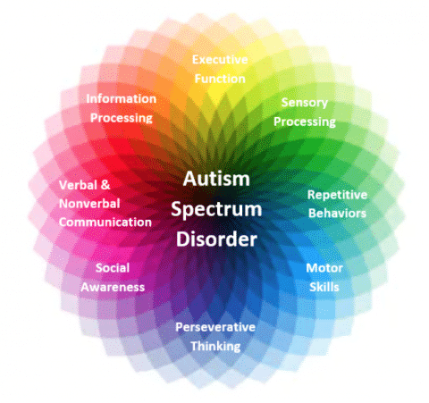 Autism Spectrum Test