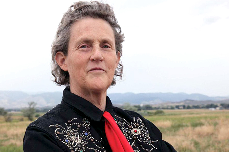 is temple grandin gay